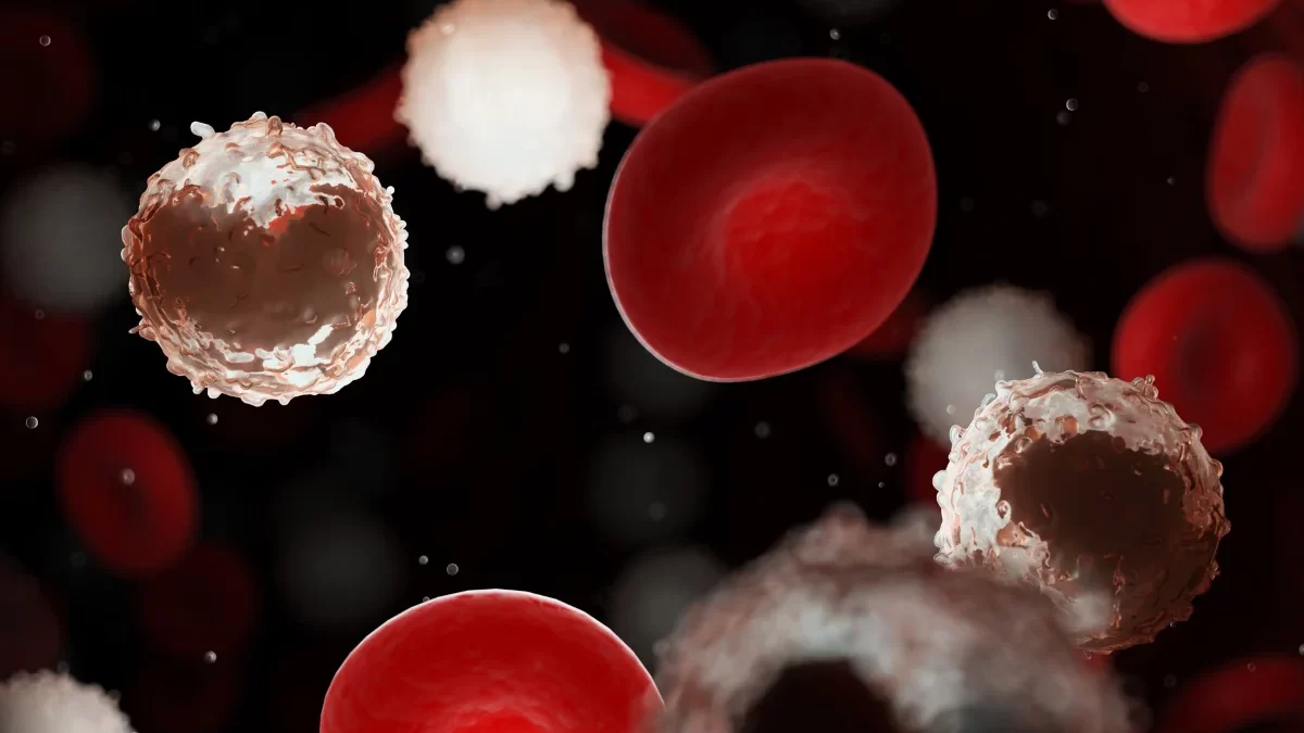 Wie eine weiße Blutkörperchen Ernährung den Leukozytenmangel ausgleichen kann