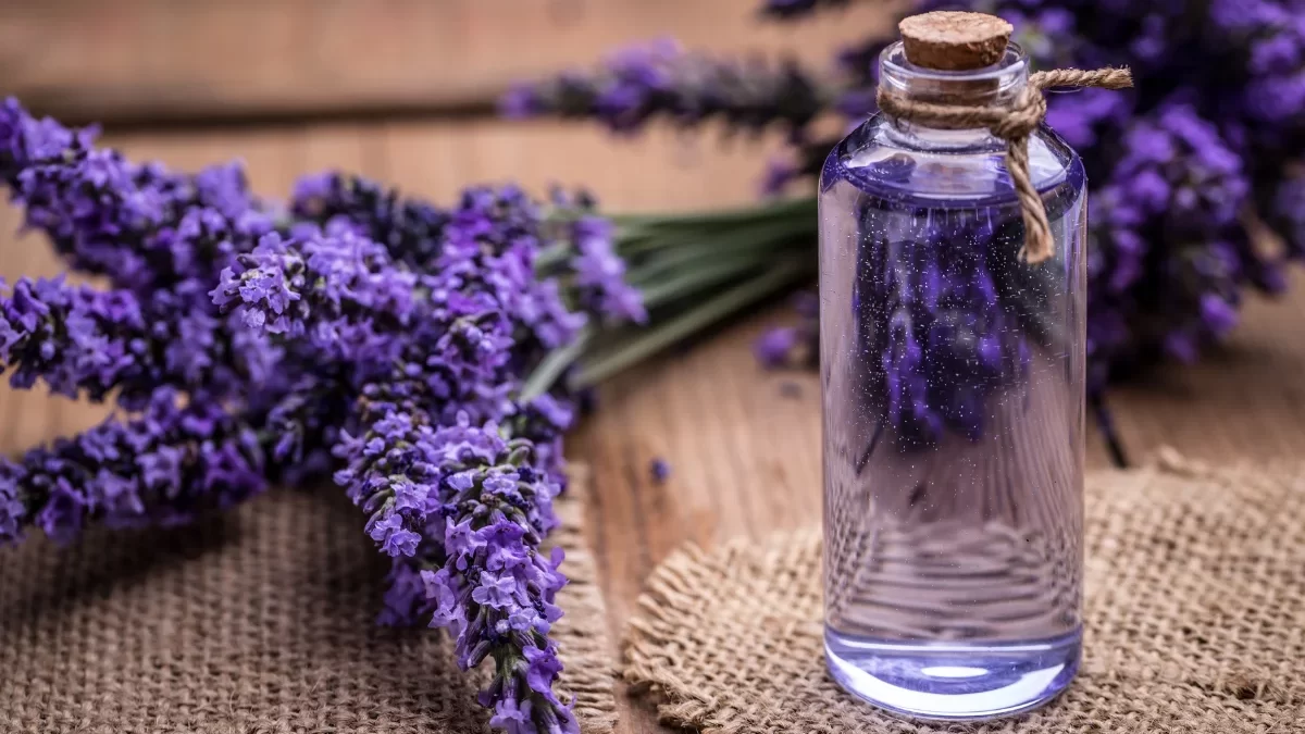 Wie pflegt Lavendel Kosmetik die Haut?