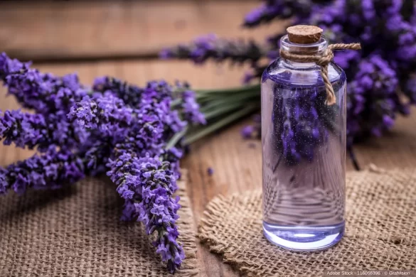 In diesem ausführlichen Artikel erfahren Sie detailliert alles wissenswerte darüber wie Lavendel Kosmetik die Haut pflegt...